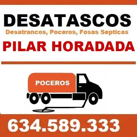 desatascos Pilar de la Horadada